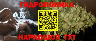 a pvp Краснодар