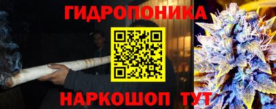 индика Кунгур